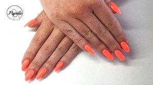 Paznokcie Papilio Gdańsk